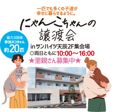 にゃんこちゃんの譲渡会 強力3団体 参加ネコちゃん約20匹