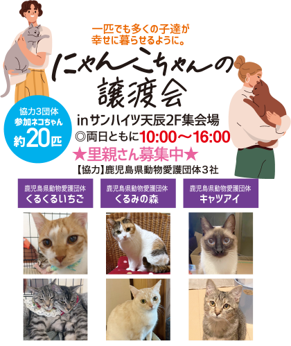 にゃんこちゃんの譲渡会