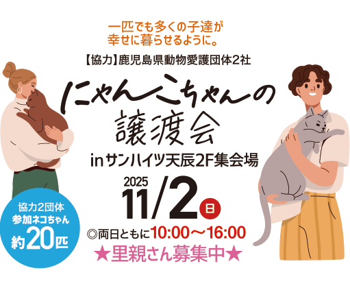 にゃんこちゃんの譲渡会