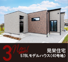 3.晃栄住宅（40号地）